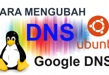 Mengubah DNS pada Ubuntu & Linux Mint