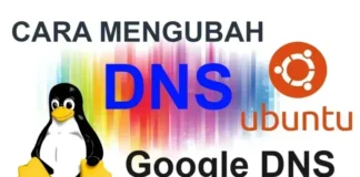 Mengubah DNS pada Ubuntu & Linux Mint