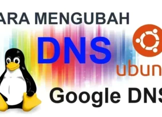 Mengubah DNS pada Ubuntu & Linux Mint