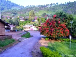 Wisata Kebun Kina Bukit Unggul Bandung