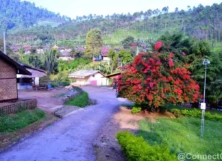 Wisata Kebun Kina Bukit Unggul Bandung