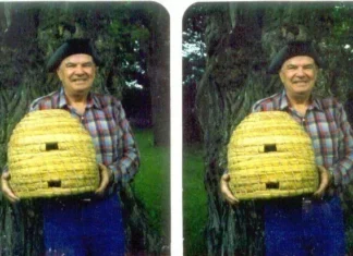 Mengubah Ukuran Resolusi Foto Secara Masal - Andi Astina