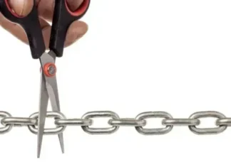 Ketika Disavow Backlink Website, Jangan Kehilangan Rank