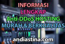 informas Anti-DDoS hosting