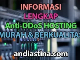 informas Anti-DDoS hosting