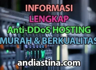 informas Anti-DDoS hosting