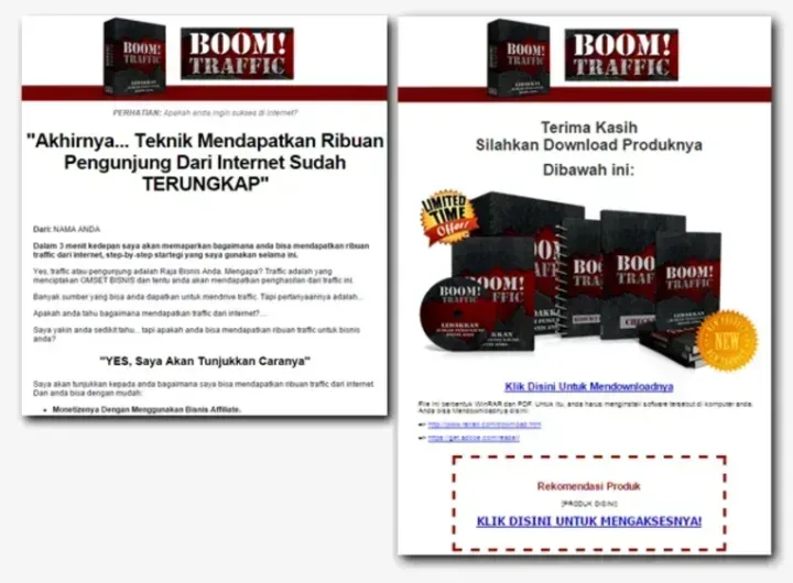 BOOM TRAFFIC sales letter