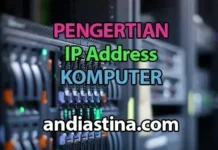 IP Addresses