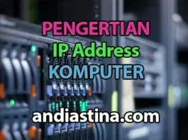 IP Addresses