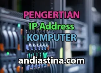IP Addresses