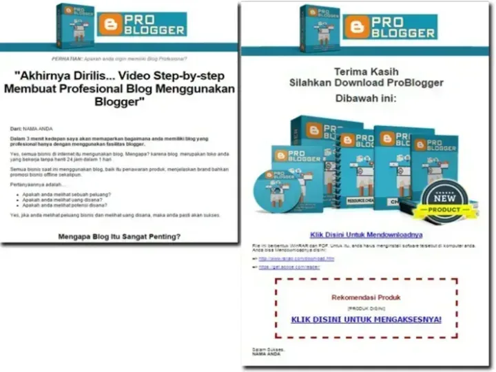 Pro Blogger sales letter
