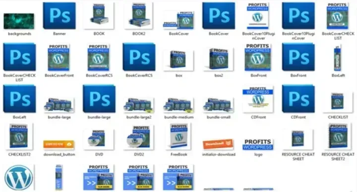 Profits WordPress graphic