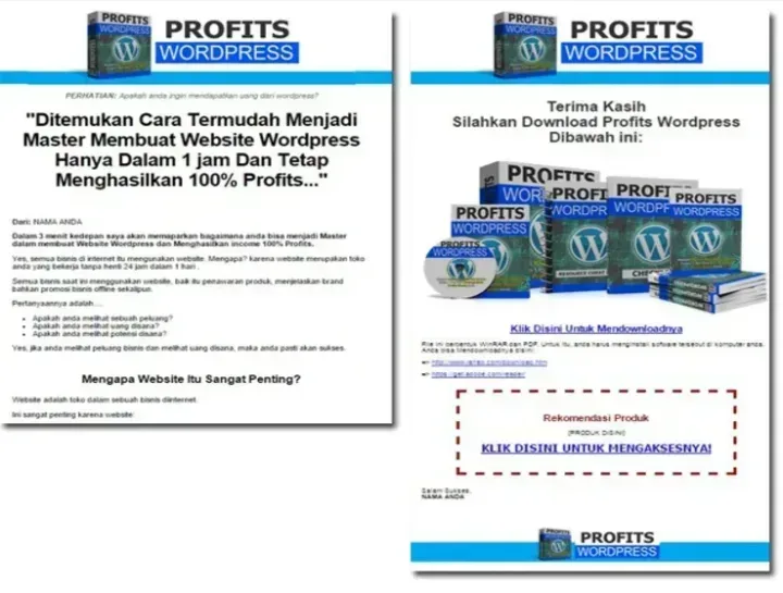 Profits WordPress sales letter