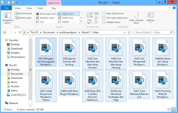 Profits WordPress video