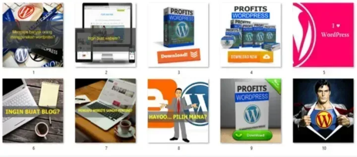 Profits WordPress viral social media image