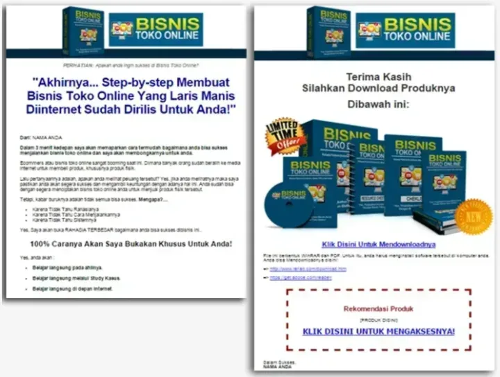 bisnis toko online sales page