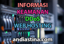 keamanan ddos web hosting