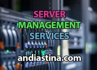 Server Management Services