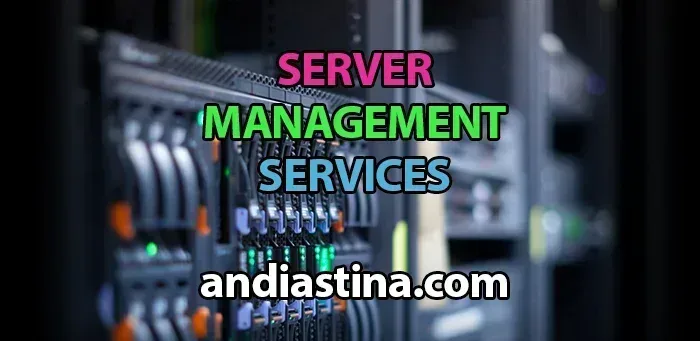 Server Management Services