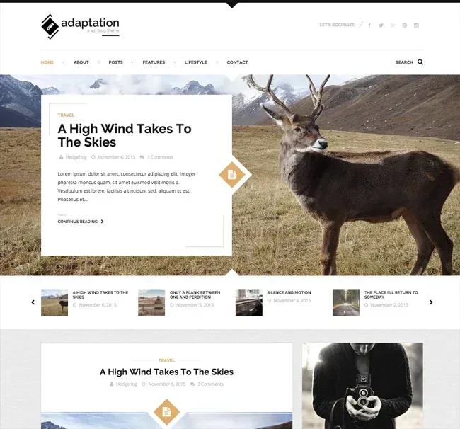 adaptation wordpress theme