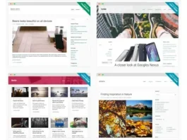 theme wordpress untuk blogging