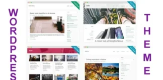 theme wordpress untuk blogging