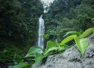 Curug Cisarua, Tempat Wisata di Garut