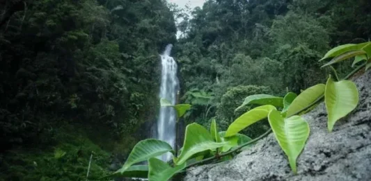 Curug Cisarua, Tempat Wisata di Garut Curug Cisarua, Tempat Wisata di Garut