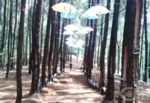 Leuweung OkoWisata Keluarga di Garut