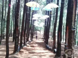 Leuweung Oko, Tempat Wisata Keluarga di Garut Leuweung OkoWisata Keluarga di Garut