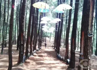 Leuweung Oko, Tempat Wisata Keluarga di Garut Leuweung OkoWisata Keluarga di Garut