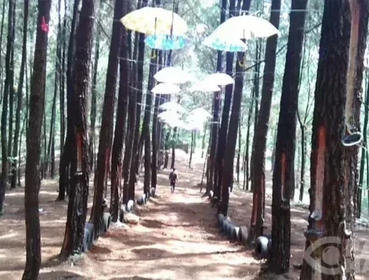 Leuweung Oko, Tempat Wisata Keluarga di Garut Leuweung OkoWisata Keluarga di Garut