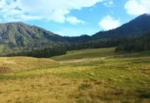 Tegal Panjang Wisata Alam di Garut Untuk Keluarga