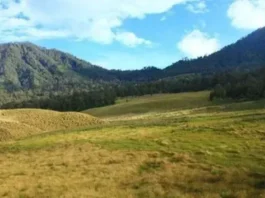 Tegal Panjang, Wisata Alam di Garut Untuk Keluarga Tegal Panjang Wisata Alam di Garut Untuk Keluarga