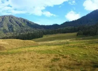 Tegal Panjang Wisata Alam di Garut Untuk Keluarga