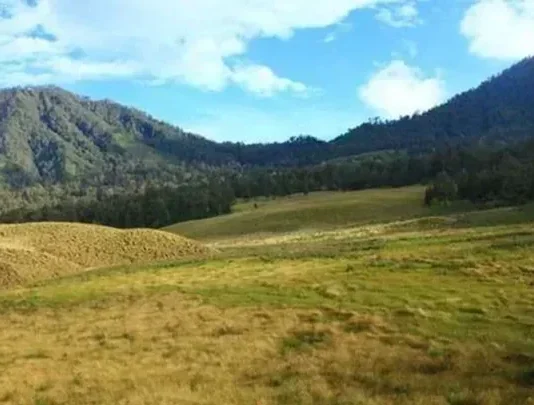 Tegal Panjang, Wisata Alam di Garut Untuk Keluarga Tegal Panjang Wisata Alam di Garut Untuk Keluarga