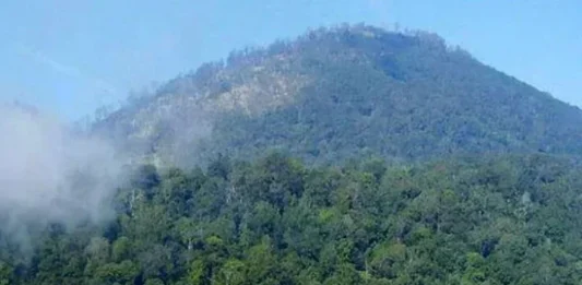 Gunung Argapura: Tantangan di Jawa Timur Gunung Argapura