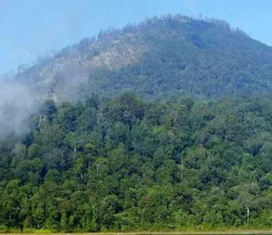Gunung Argapura: Tantangan di Jawa Timur Gunung Argapura