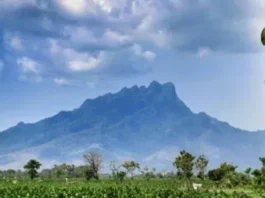 Gunung Argowayang: Permata Tersembunyi di Jawa Tengah Gunung Argowayang