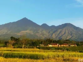 Gunung Arjuno: Keindahan dan Keagungan di Jawa Timur Gunung Arjuno