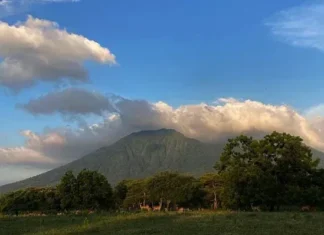 Gunung Baluran