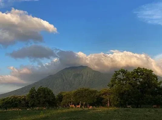 Gunung Baluran