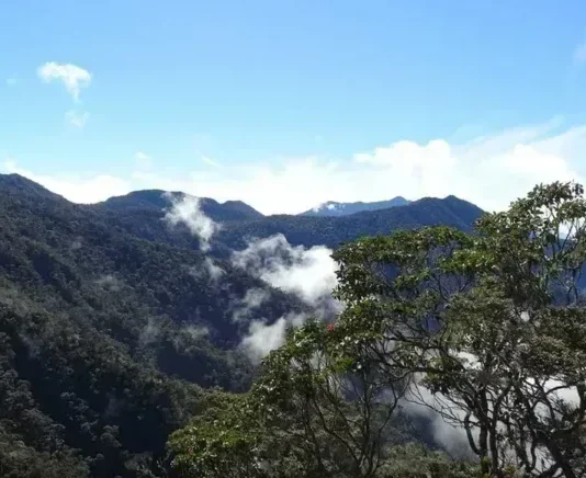 Informasi Gunung Bandahara Aceh Gunung Bandahara