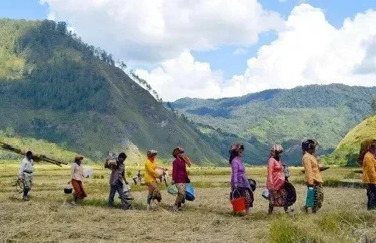 Gunung Bateekeubeu: Menyusuri Pesona di Aceh Gunung Bateekeubeu
