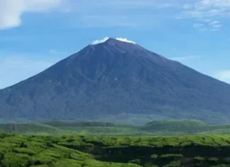Gunung Berungkal: Keindahan Tersembunyi di Jawa Timur Gunung Berungkal