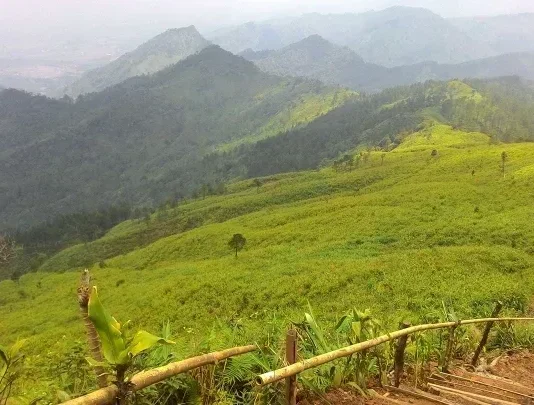 Gunung Beser: Pesona Alam yang Tersembunyi di Jawa Tengah Gunung Beser