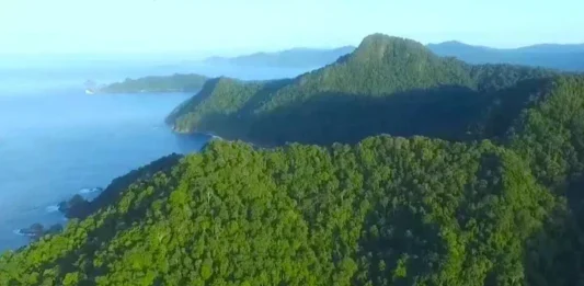 Gunung Betiri: Keindahan di Jawa Timur Gunung Betiri