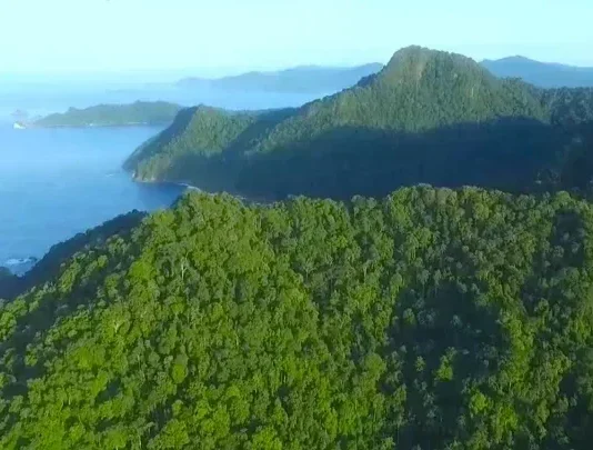 Gunung Betiri: Keindahan di Jawa Timur Gunung Betiri