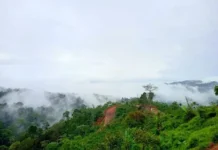 Gunung Betung