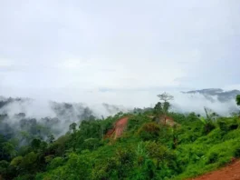 Gunung Betung: Permata Tersembunyi di Lampung Gunung Betung
